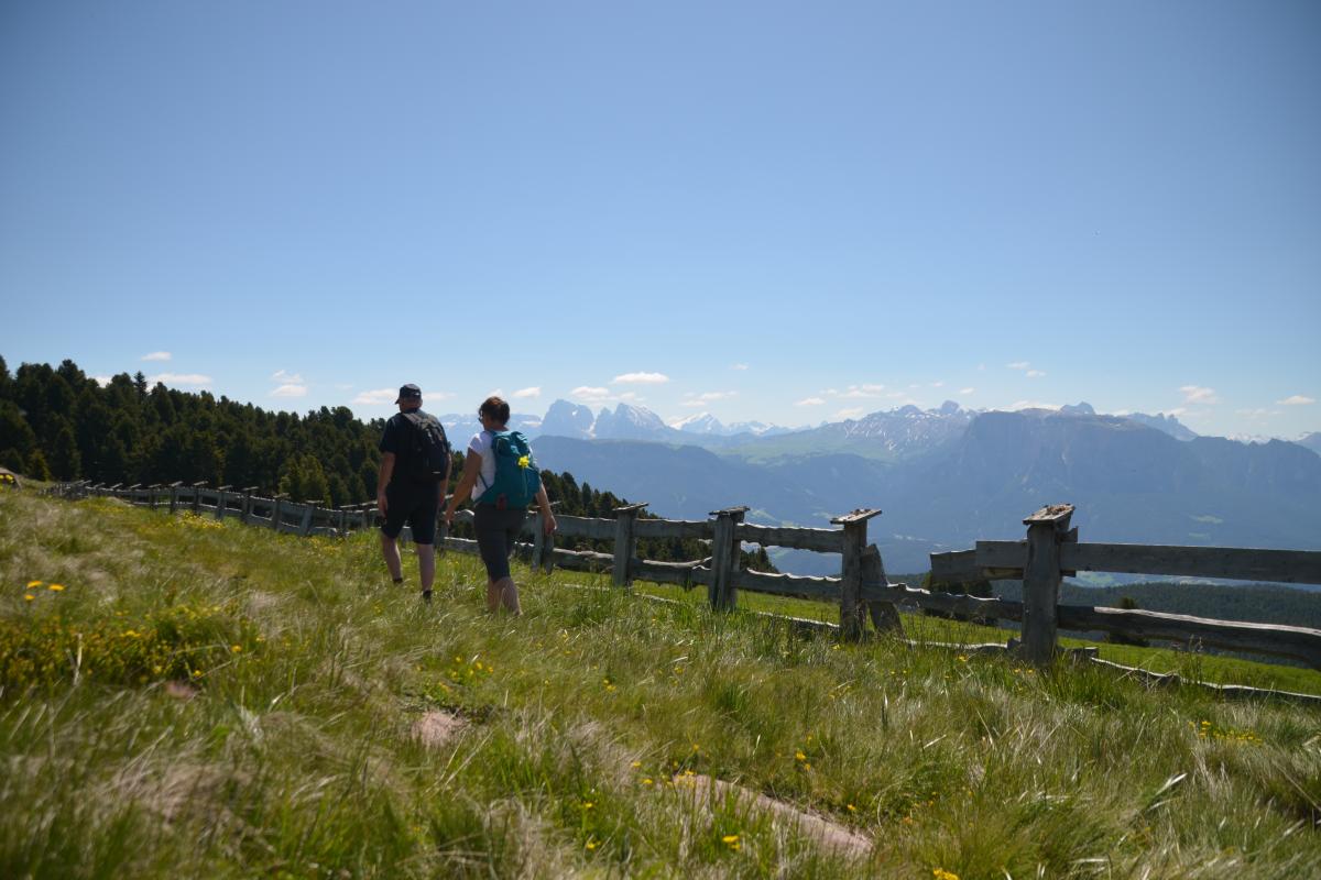 Latschenbrennerei und Platzer Alm 23.06.2020